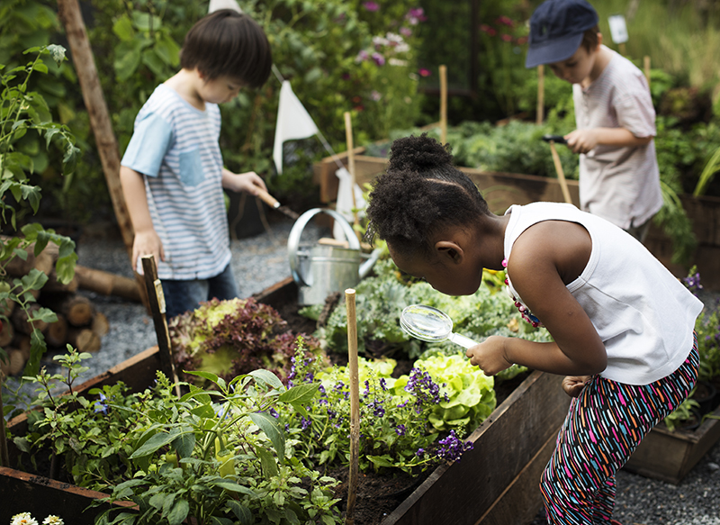 Children farming